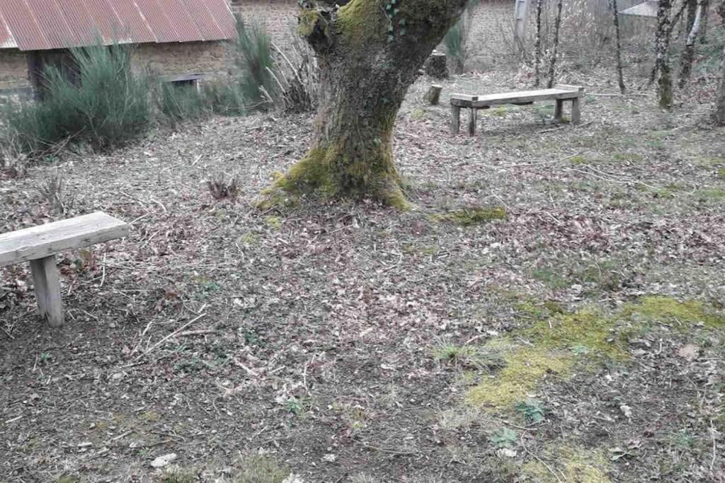 Gite Maison Du Trottoir, Sussac Eksteriør bilde